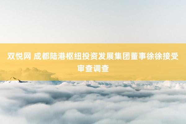 双悦网 成都陆港枢纽投资发展集团董事徐徐接受审查调查