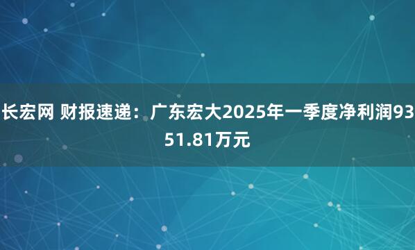 长宏网 财报速递：广东宏大2025年一季度净利润9351.81万元