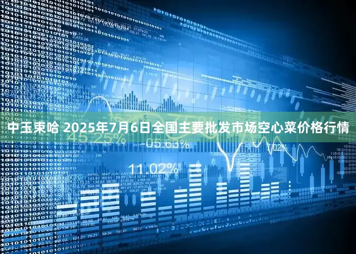中玉束哈 2025年7月6日全国主要批发市场空心菜价格行情