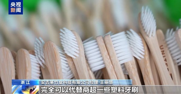 宏基资本 从牙刷到交通护栏 “以竹代塑”让竹子可以“百变”_大皖新闻 | 安徽网
