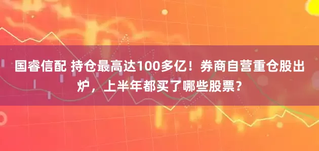 国睿信配 持仓最高达100多亿！券商自营重仓股出炉，上半年都买了哪些股票？