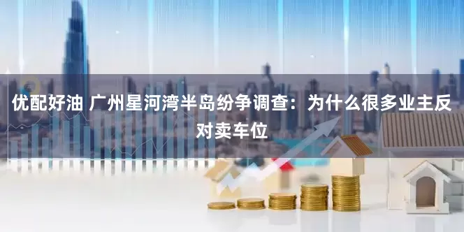优配好油 广州星河湾半岛纷争调查：为什么很多业主反对卖车位