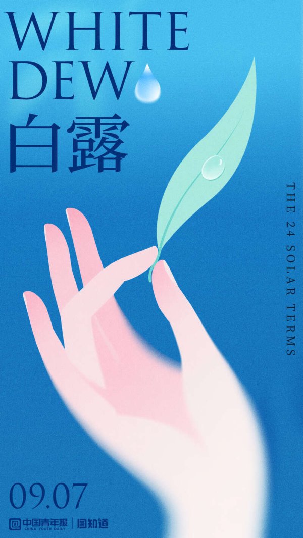 股牛配 Vision Z｜24 Solar Terms ：White Dew