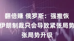 翻倍赚 俄罗斯：强推恢复对伊朗制裁只会导致紧张局势升级